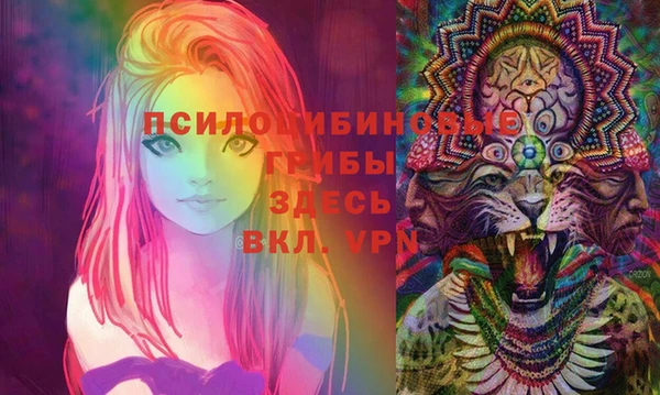 а пвп мука Алзамай