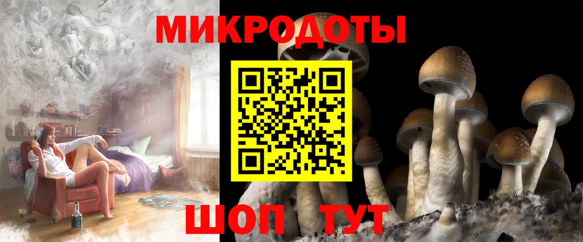 Галлюциногенные грибы Psilocybe  Псилоцибиновые грибы GOLDEN TEACHER  Нурлат  Вход с VPN 