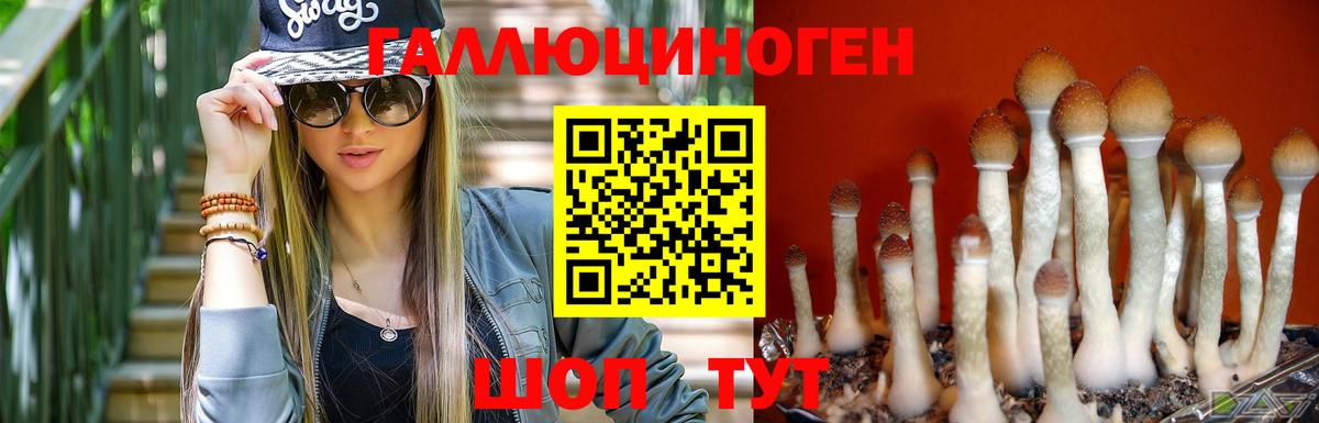 Псилоцибиновые грибы ЛСД Нурлат